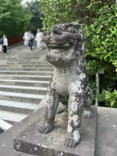 鶴岡八幡宮の狛犬