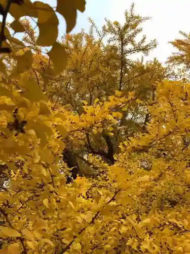 丹生酒殿神社の自然