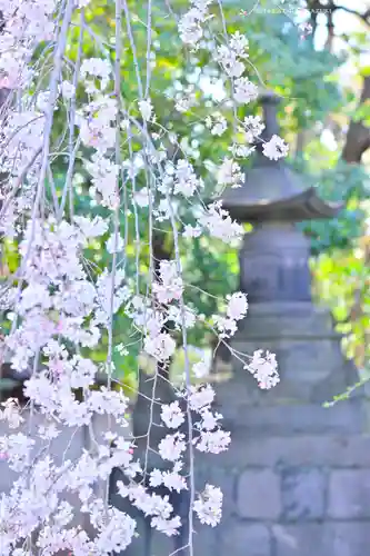 寛永寺開山堂(東京都)