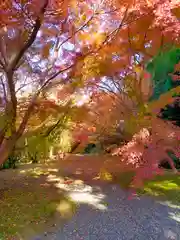 弘川寺(大阪府)