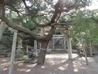 那祖師神社の自然
