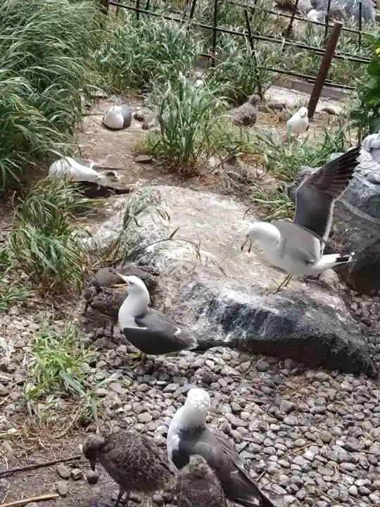 蕪嶋神社(青森県)