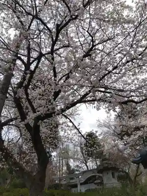 熊野神社(福井県)
