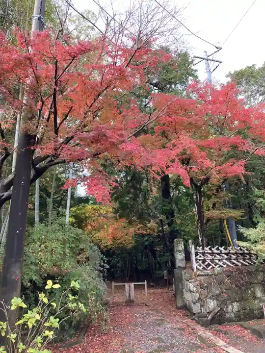 寿福寺(神奈川県)