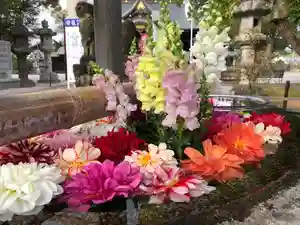 春日神社の手水舎 2020年10月30日(金)〜(2020年10月30日(金) 15時58分03秒投稿)