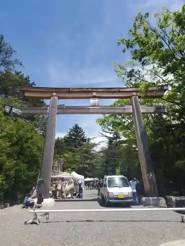 長野縣護國神社の鳥居