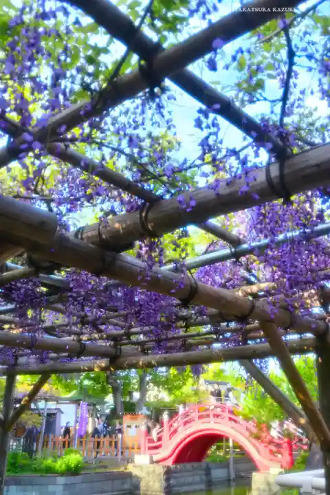 亀戸天神社(東京都)