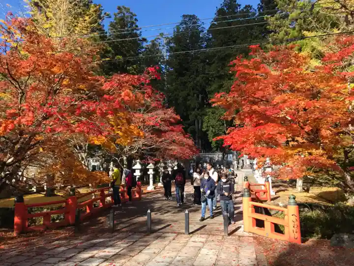 高野山金剛峯寺奥の院(和歌山県)