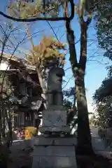 大井神社の狛犬