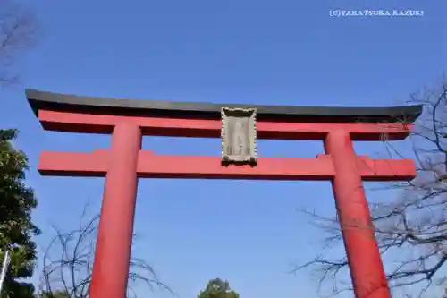 亀戸天神社の鳥居