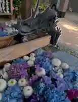 川越八幡宮(埼玉県)