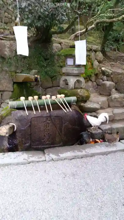 石上神宮の手水舎