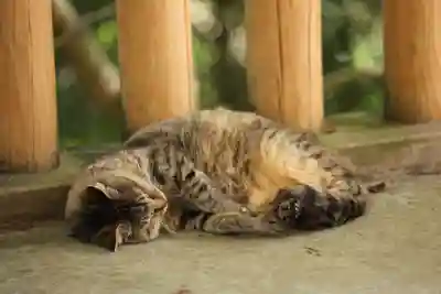 玉野御嶽神社(愛知県)
