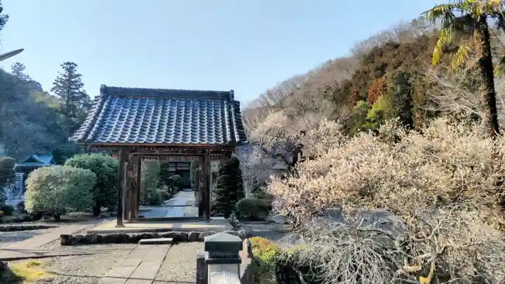 聞修院(東京都)