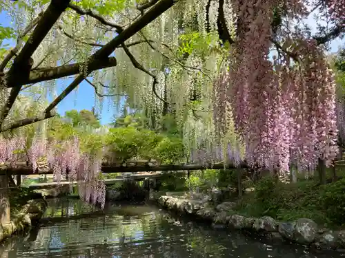 春日大社(奈良県)