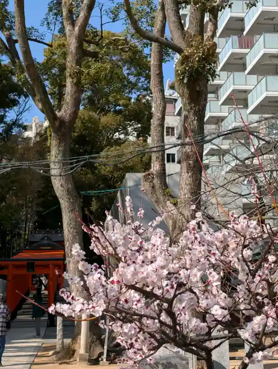 生田神社の{uncategorized: "未分類", other: "その他", undefined: "問題あり", building: "その他建物", grave: "お墓", sacred_gate: "鳥居", guardian: "狛犬", statue: "像", buddha: "仏像", history: "歴史", nature: "自然", garden: "庭園", animal: "動物", pagoda: "塔", temizu: "手水舎", mountain_gate: "山門・神門", sanctuary: "本殿・本堂", subordinate: "末社・摂社", art: "芸術", scenery: "景色", jizo: "地蔵", ema: "絵馬", goshuin: "御朱印", omikuji: "おみくじ", items: "授与品その他", amulet: "お守り", goshuincho: "御朱印帳", eats: "食事", festival: "お祭り", votive_dance: "神楽", shichigosan: "七五三参", wedding: "結婚式", experience: "体験その他", initially: "初詣", around: "周辺", anti_infection: "感染症対策"}