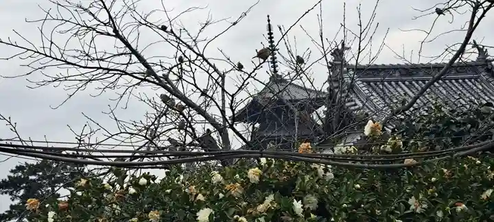 善通寺(香川県)