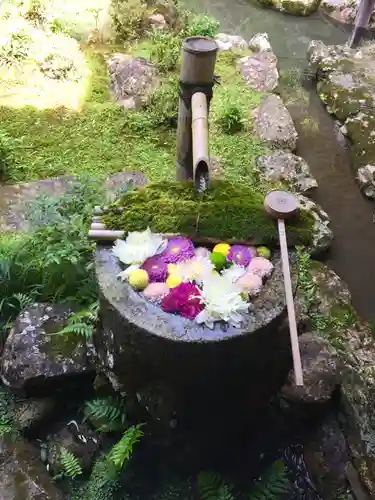 柳谷観音　楊谷寺の手水舎