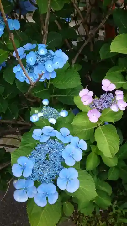 東本願寺(東京都)