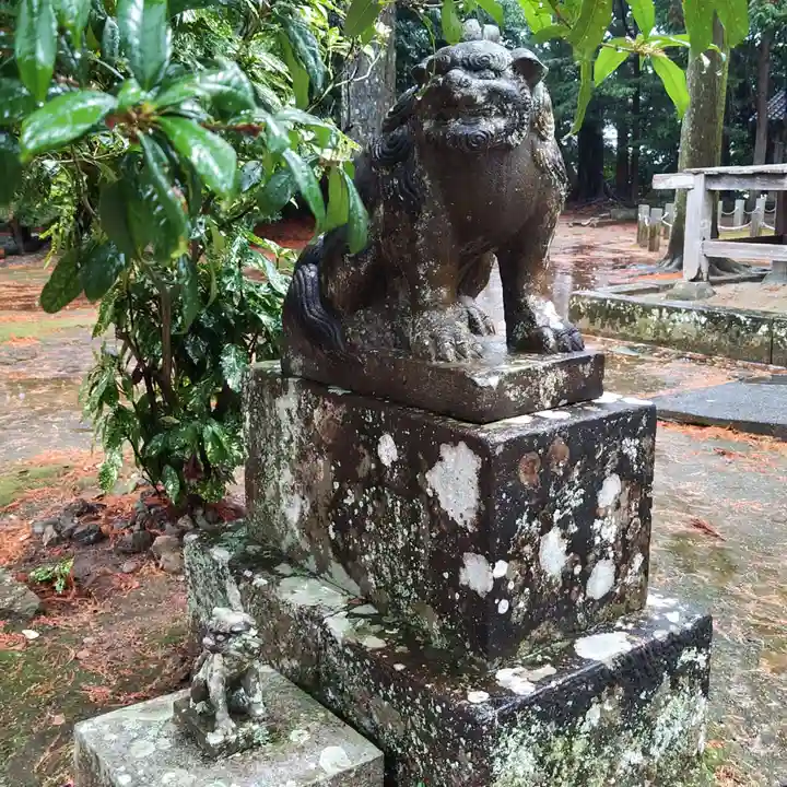 川津来宮神社の狛犬