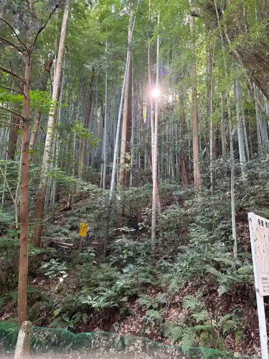 玉作湯神社(島根県)