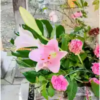 彌彦神社 (伊夜日子神社)(北海道)