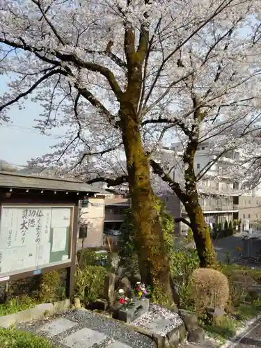 法華寺の山門