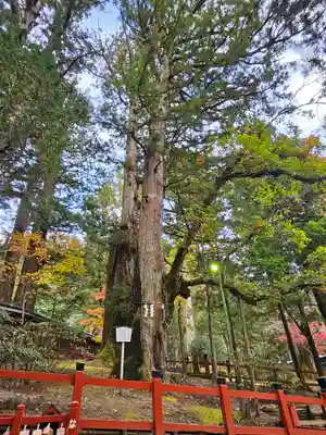 日光二荒山神社(栃木県)