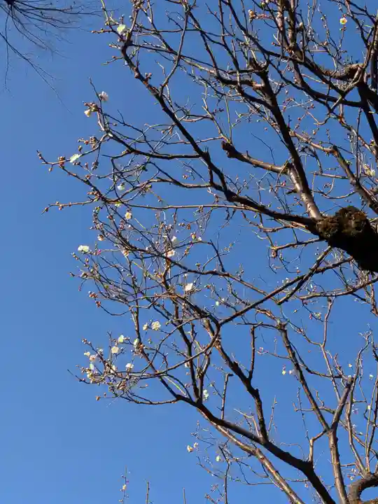 東長谷寺 薬王院(東京都)