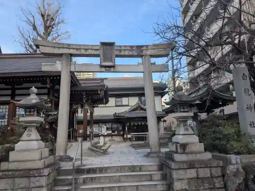 白龍神社(愛知県)