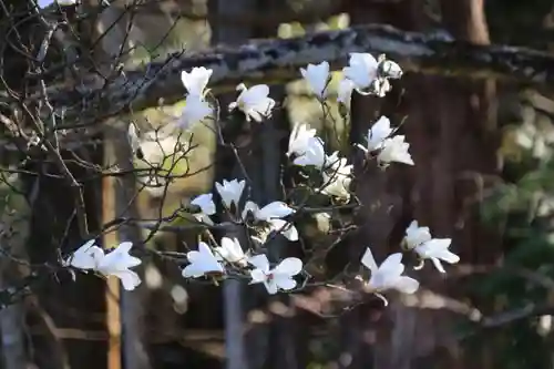 紀伊宮神社の自然
