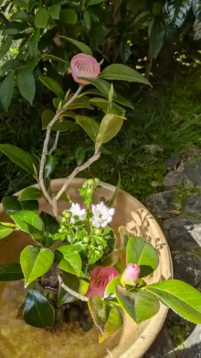 宝蔵寺(京都府)