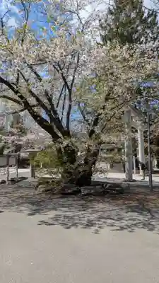 住吉神社(北海道)
