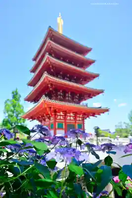 高幡不動尊　金剛寺(東京都)