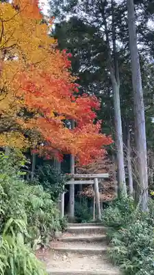圓光寺(京都府)