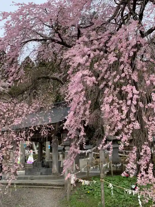 南湖神社の自然