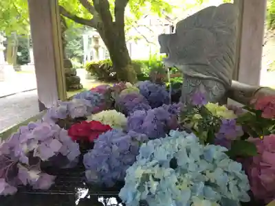 足羽神社(福井県)