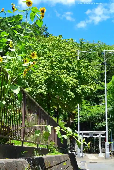 杉山神社(神奈川県)