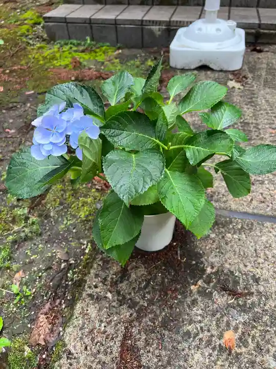 大宮温泉神社(栃木県)