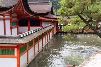 厳島神社(広島県)