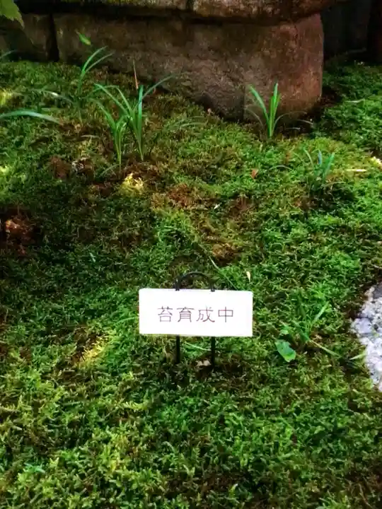 陽運寺(東京都)