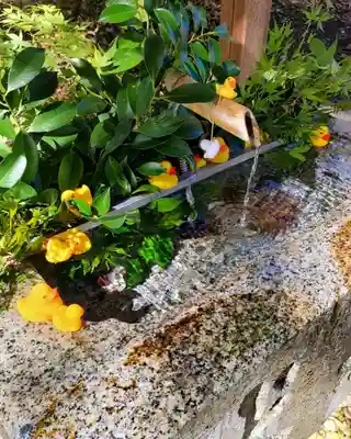 諏訪八幡神社の手水舎