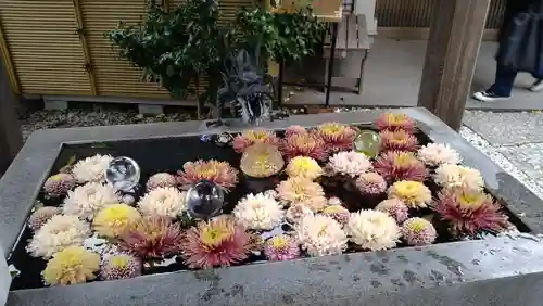 蛇窪神社の手水舎