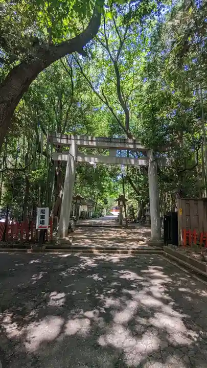 道野辺八幡宮(千葉県)