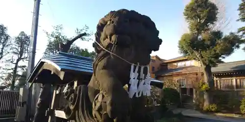 鳩ヶ谷氷川神社の狛犬