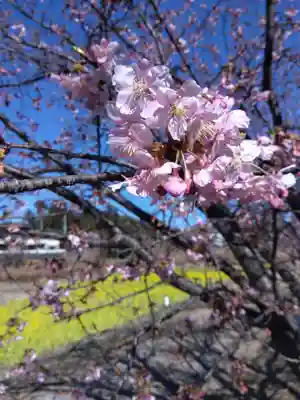 白山神社(静岡県)