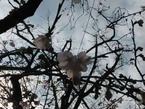 靖國神社(東京都)