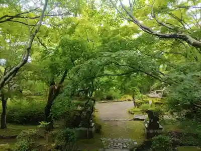 勝持寺（花の寺）のその他建物