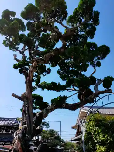 尊光寺(大阪府)