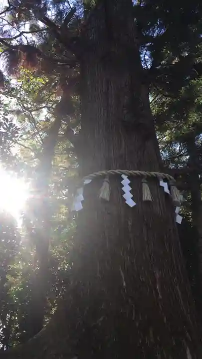 高尾山薬王院のその他建物